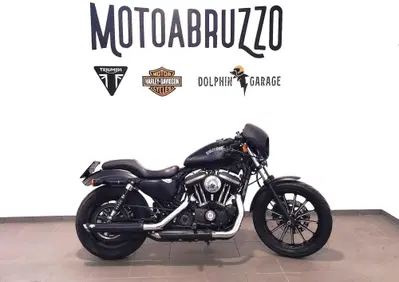 Harley-Davidson 883 Iron (2014 - 16) - XL 883N - Annuncio 10049508