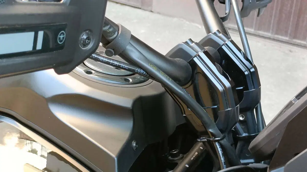 Harley-Davidson Pan America 1250 Special (2020 - 25)  (6)