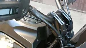 Harley-Davidson Pan America 1250 Special (2020 - 25)  (6)