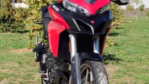 Ducati Multistrada 950 (2018)  (3)