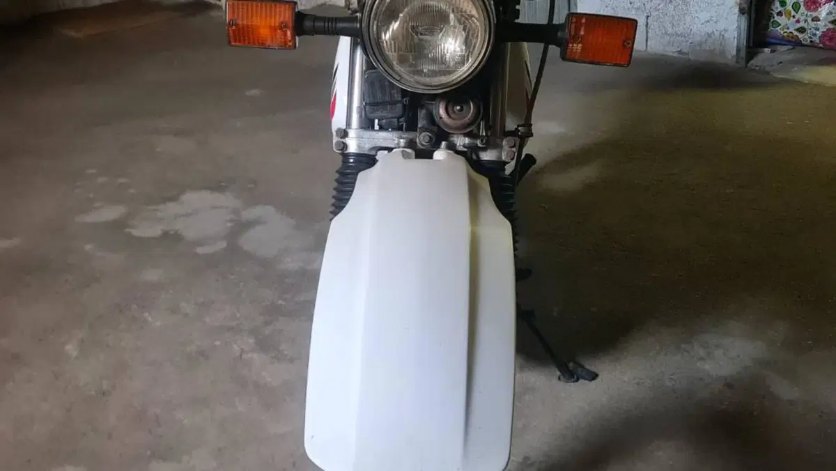 Yamaha   (5)