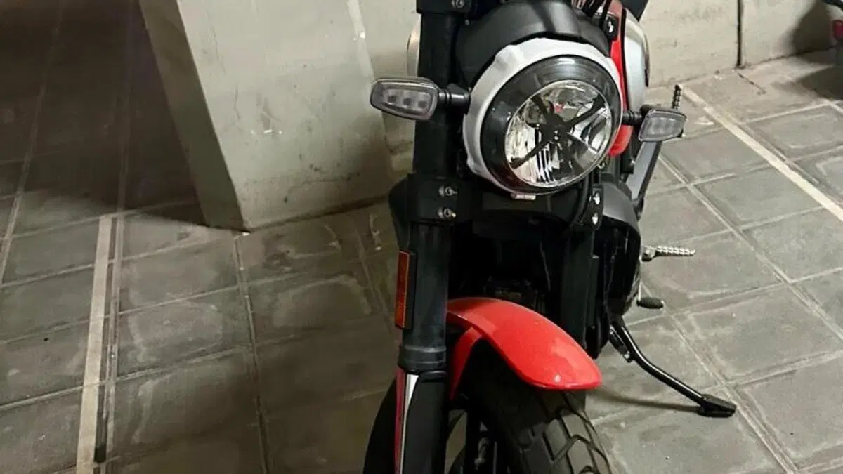 Ducati Scrambler 800 Icon (2021 - 22)  (8)