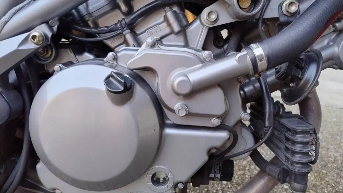 Cagiva Raptor 650 (2005 - 07)  (8)