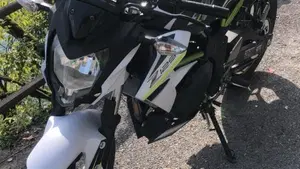 Kawasaki Z 125 (2021 - 24)  (3)