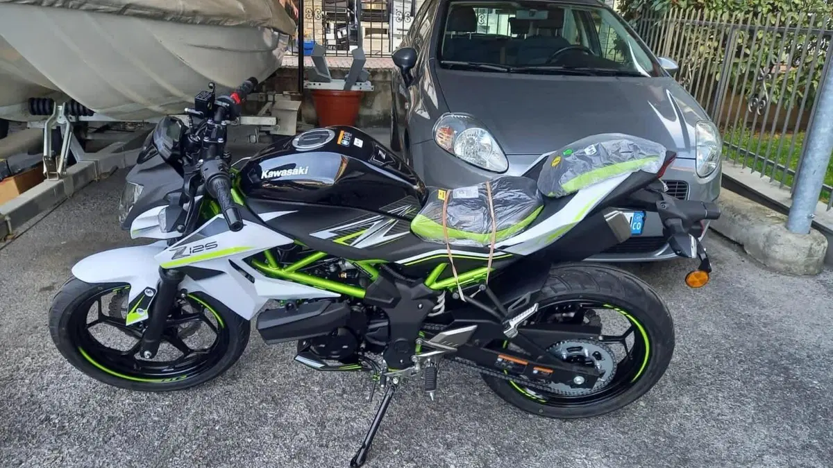 Kawasaki Z 125 (2021 - 24)  (4)