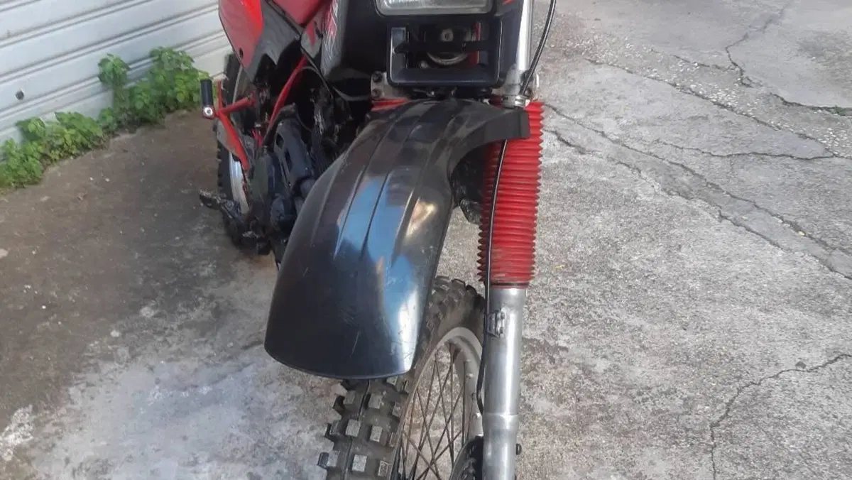 Honda   (7)