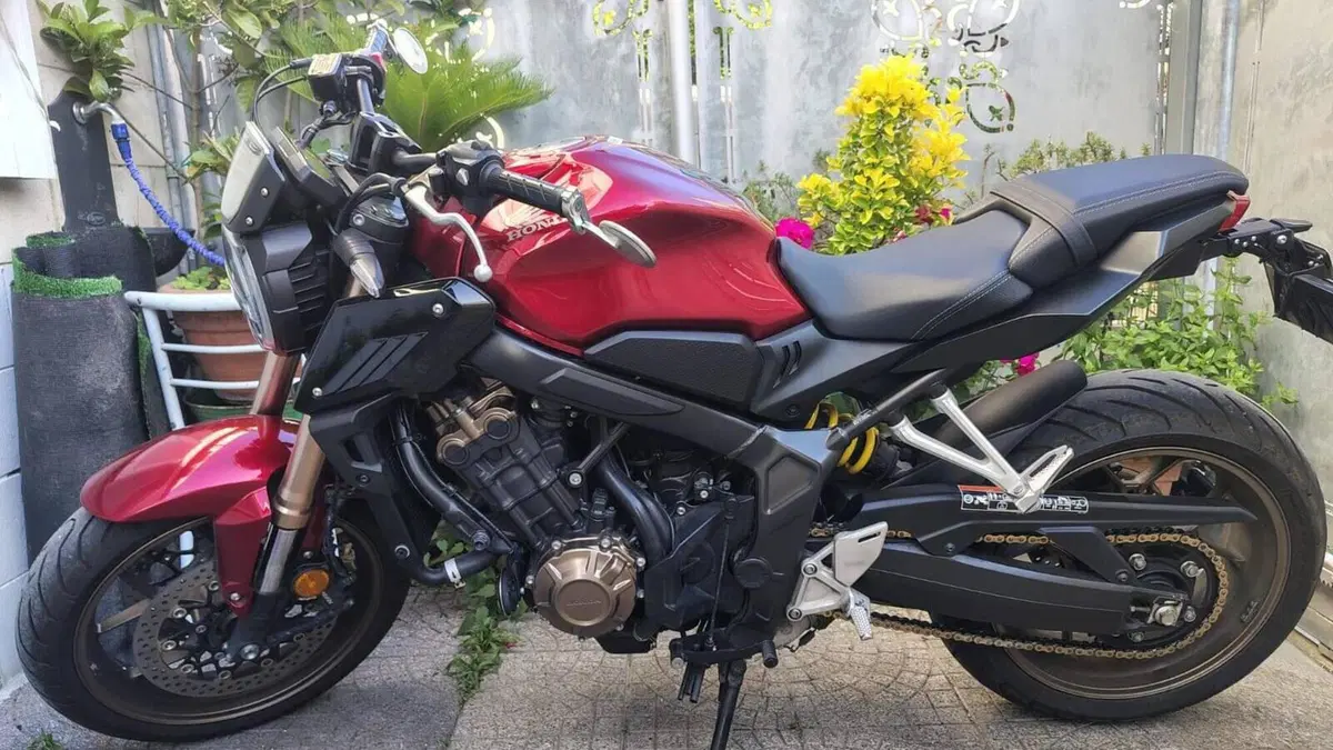 Honda CB 650 R (2021 - 23)  (2)