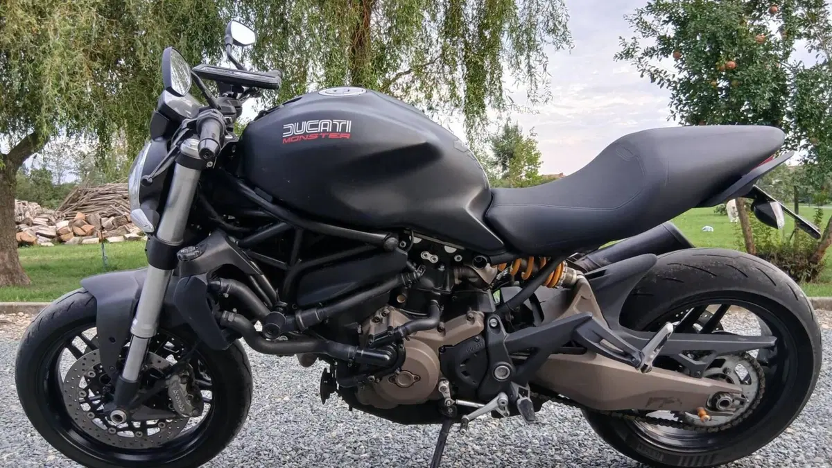 Ducati Monster 821 Dark ABS (2014 - 16)  (3)