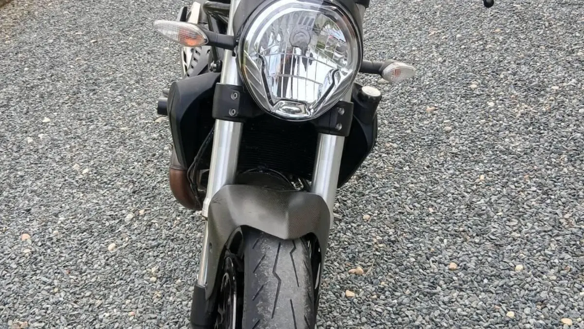Ducati Monster 821 Dark ABS (2014 - 16)  (4)