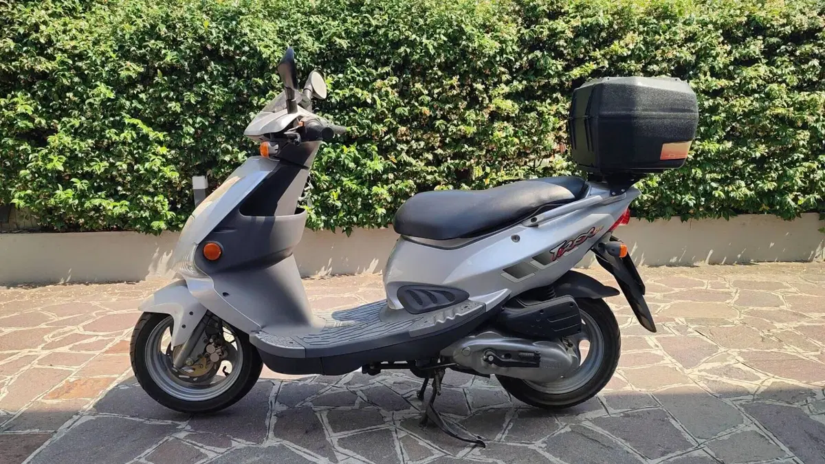 Garelli T-Rex 150  (2)