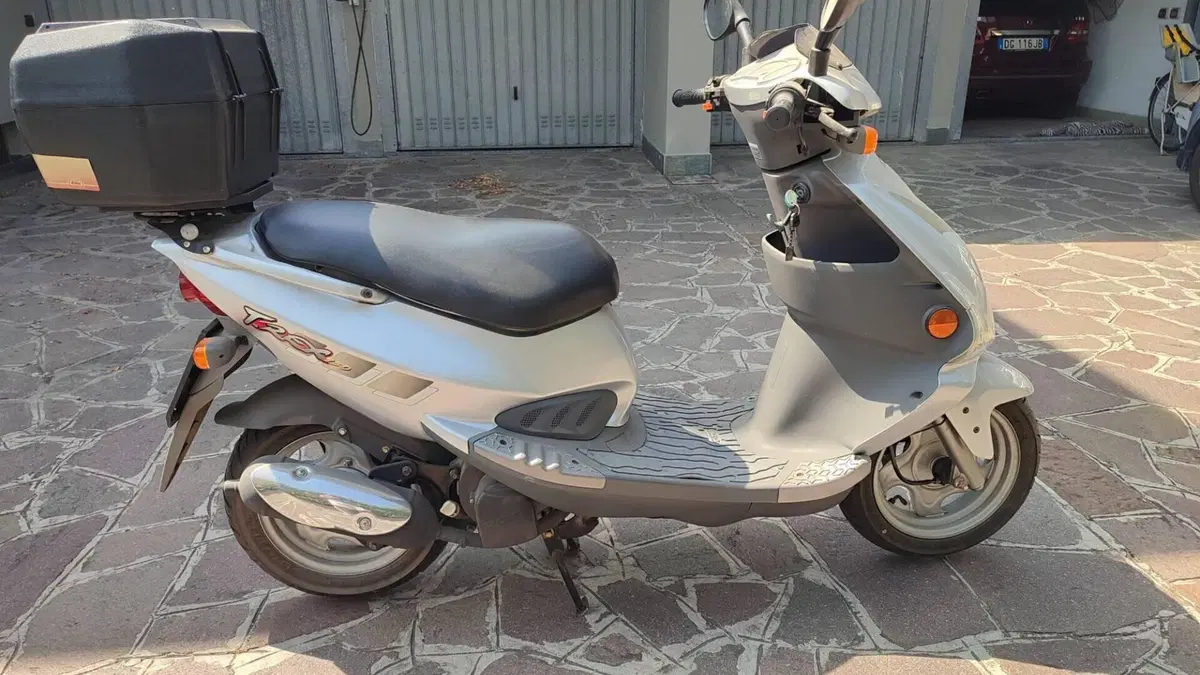 Garelli T-Rex 150  (3)