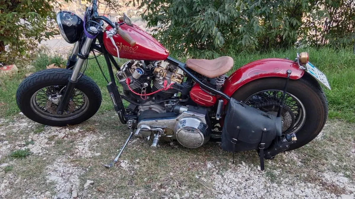 Harley-Davidson   (4)