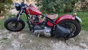 Harley-Davidson   (4)
