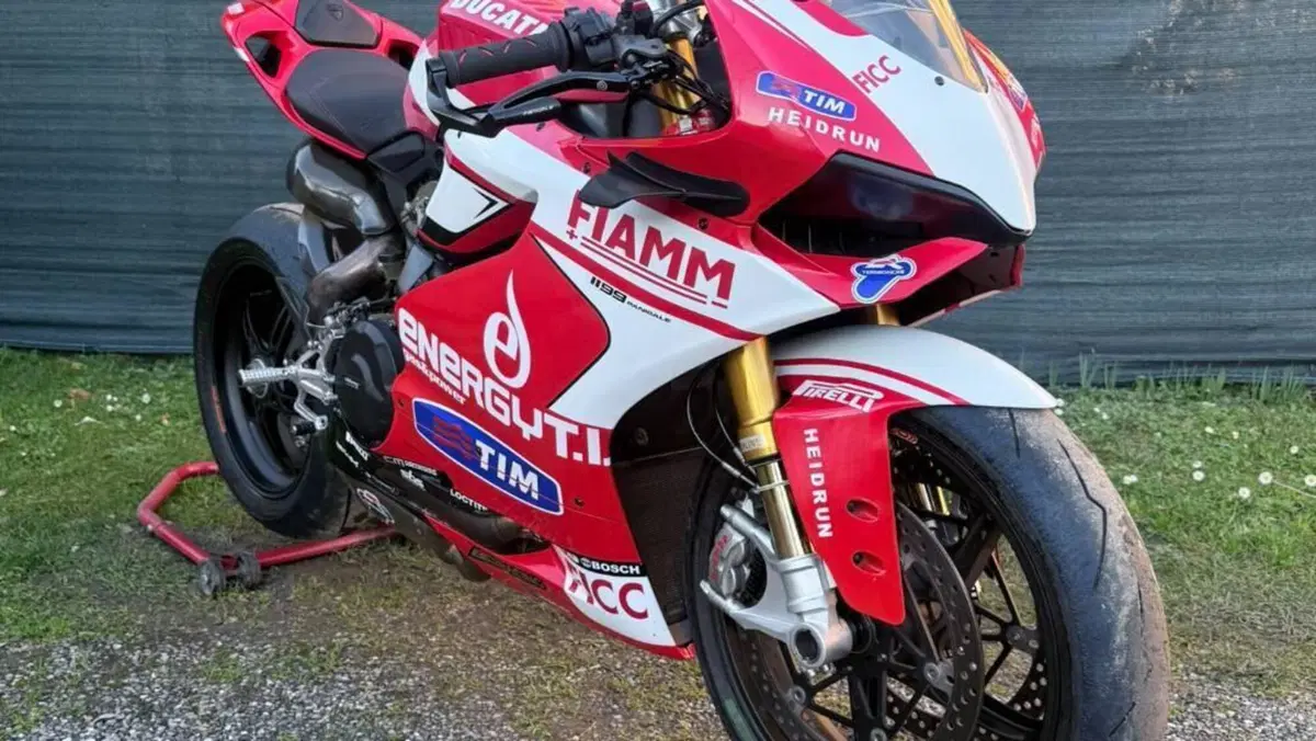 Ducati 1199 Panigale ABS (2013 - 14)  (3)