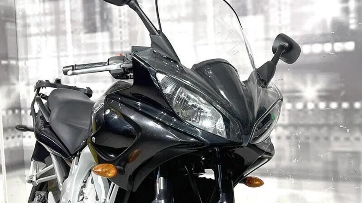 Yamaha FZ6 Fazer (2004 - 07)  (9)