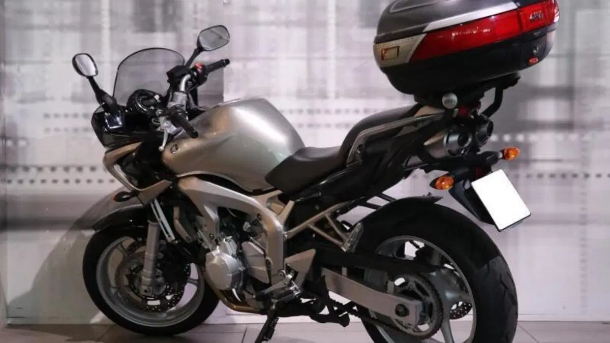 Yamaha FZ6 Fazer (2004 - 07)  (2)
