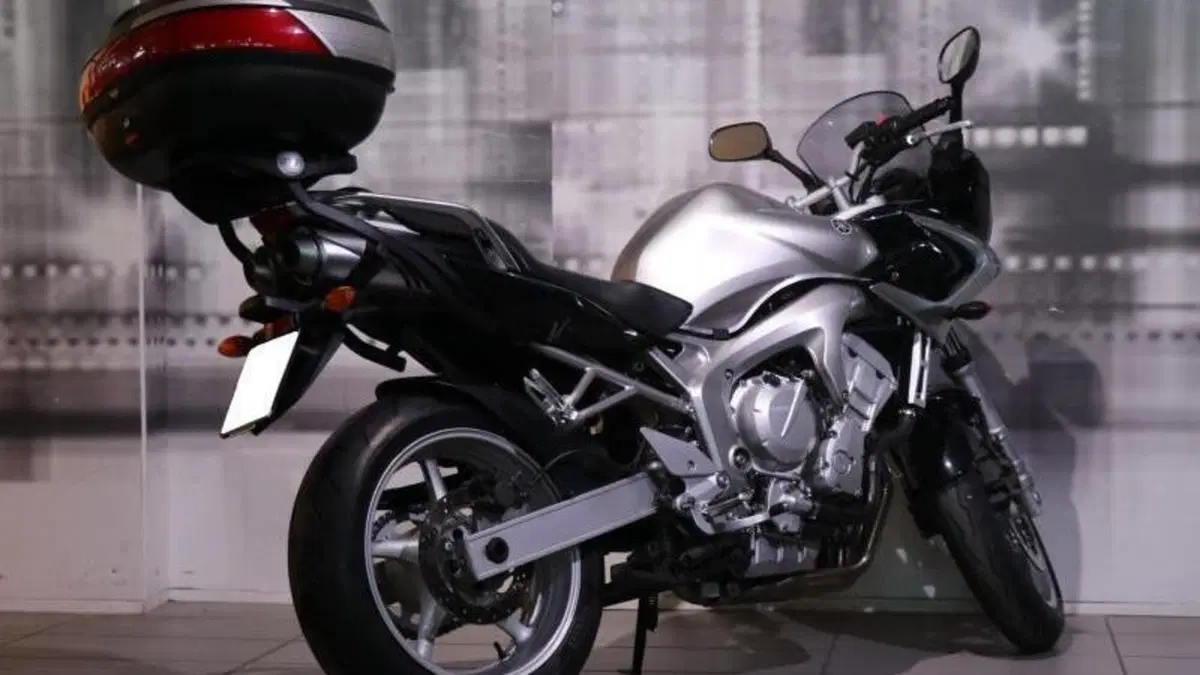 Yamaha FZ6 Fazer (2004 - 07)  (8)