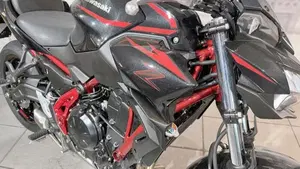 Kawasaki Z 650 (2025 - 26)  (6)