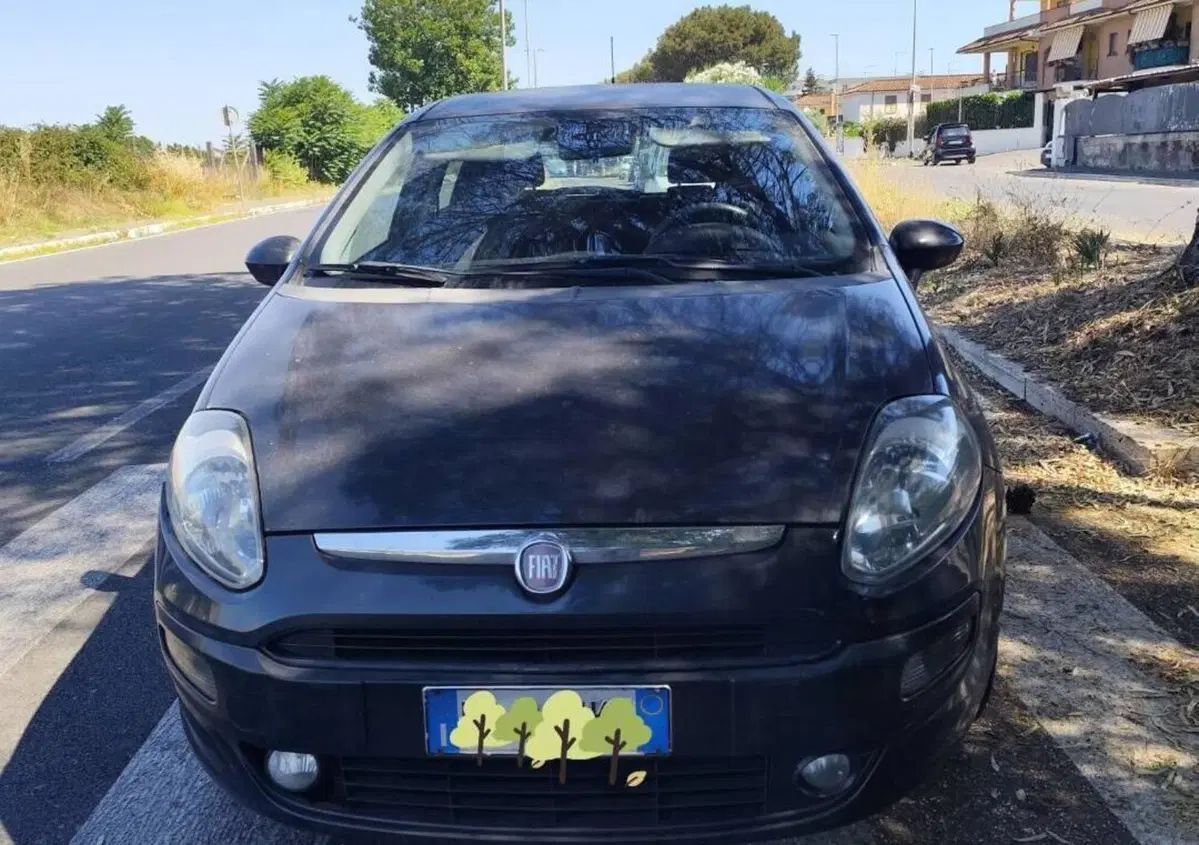 Fiat Punto Evo 1.2 5 porte Active (6)