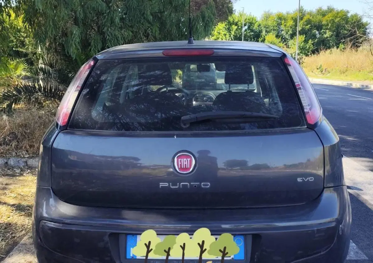 Fiat Punto Evo 1.2 5 porte Active (7)