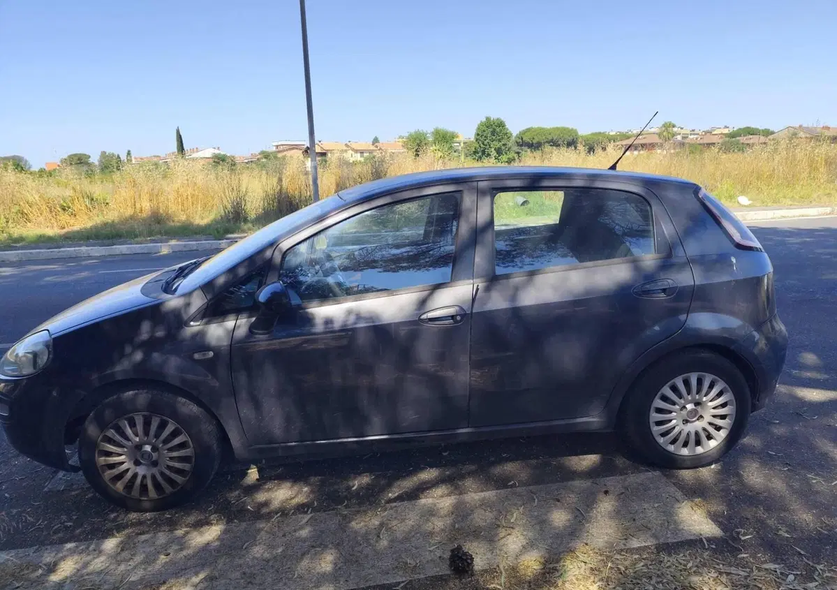 Fiat Punto Evo 1.2 5 porte Active (8)