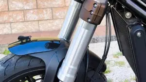 Benelli Leoncino 500 (2021 - 25)  (2)