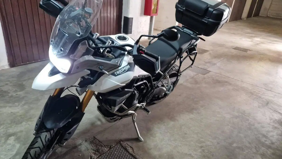 Triumph Tiger 900 Rally Pro (2020 - 23)  (5)