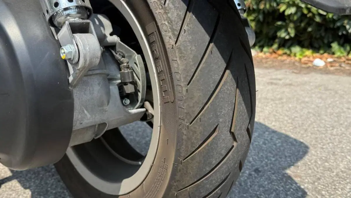 Honda Silver Wing 600 (2001 - 05)  (6)