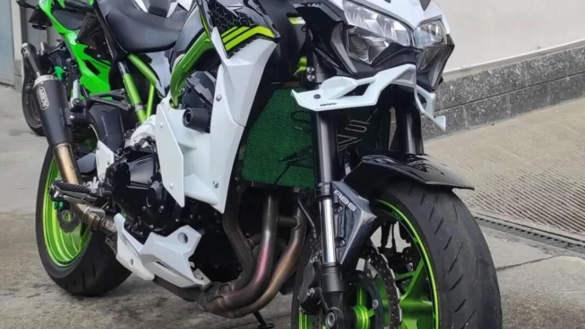 Kawasaki Z 900 (2021 - 24)  (2)