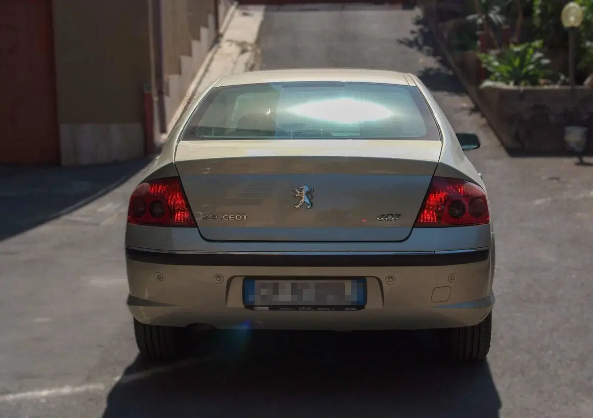 Peugeot 407 2.0 HDi Executive (5)