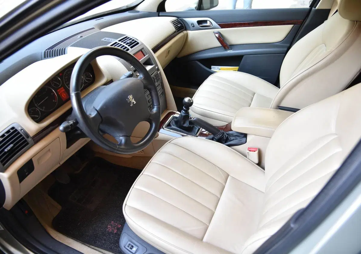 Peugeot 407 2.0 HDi Executive (7)