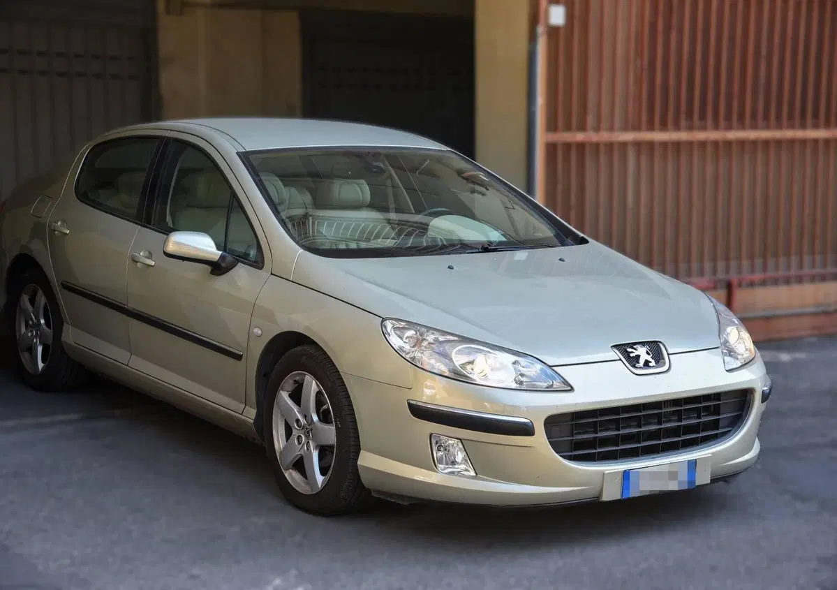 Peugeot 407 2.0 HDi Executive (12)