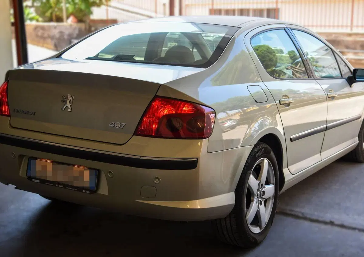 Peugeot 407 2.0 HDi Executive (13)