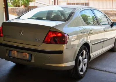Peugeot 407 2.0 HDi Executive (13)
