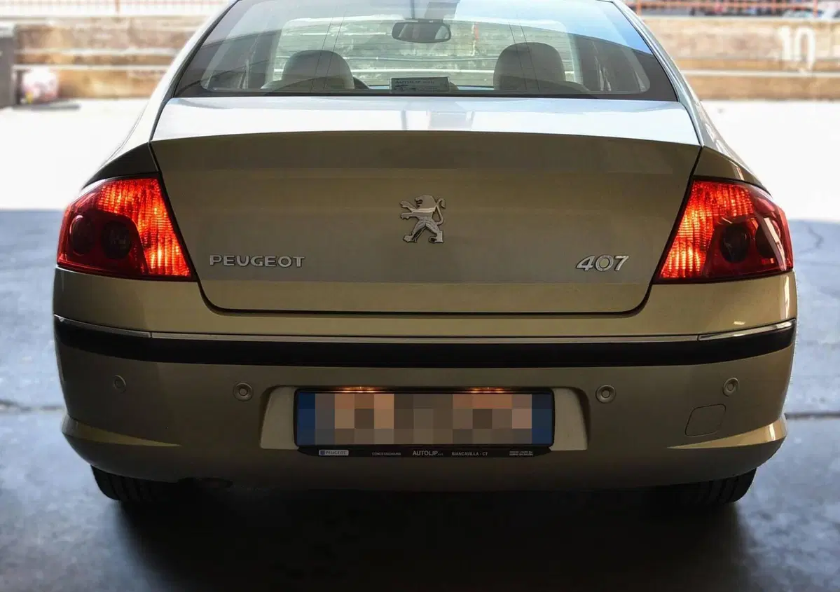 Peugeot 407 2.0 HDi Executive (14)