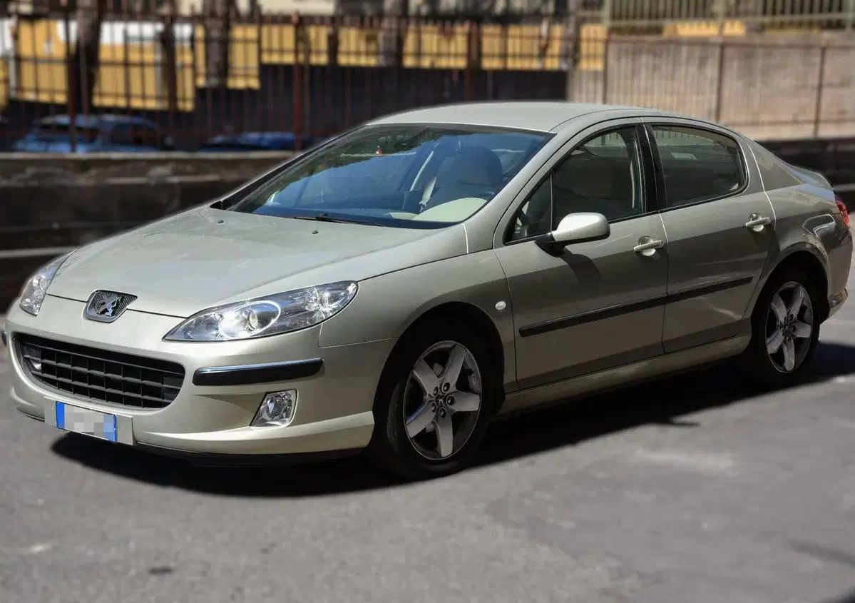 Peugeot 407 2.0 HDi Executive (15)