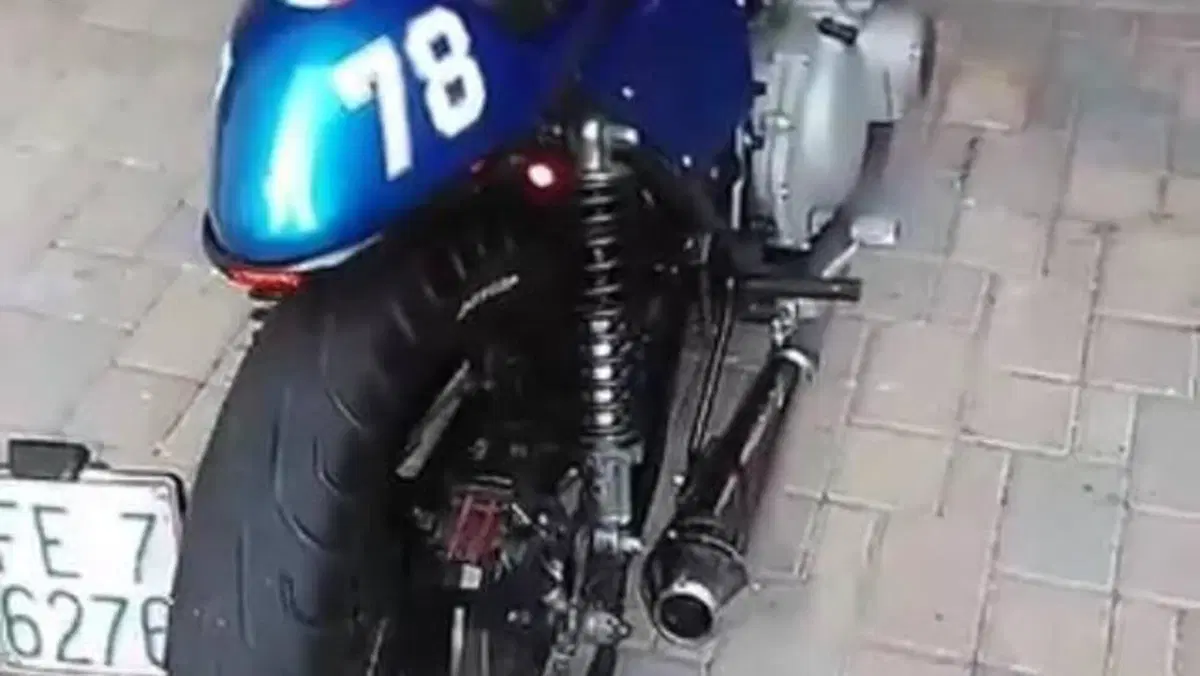 Suzuki   (6)