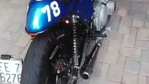 Suzuki   (6)