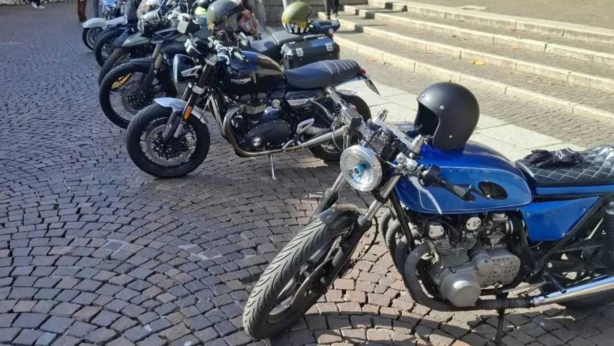 Suzuki   (11)