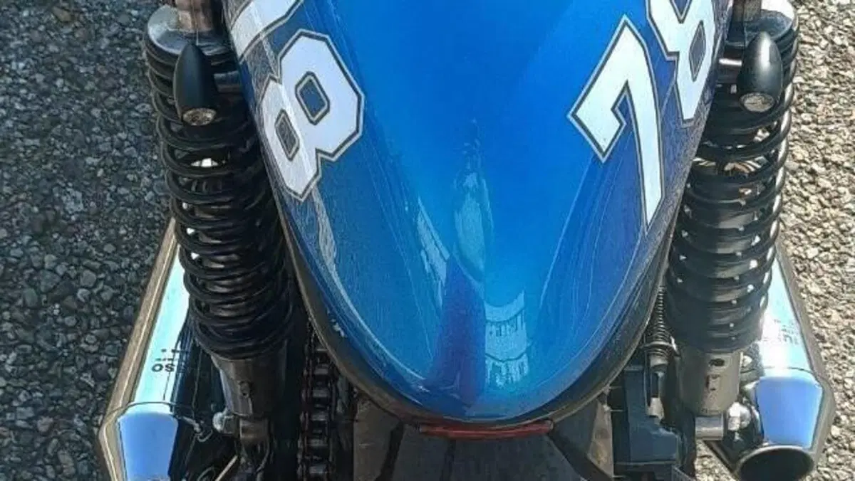 Suzuki   (12)