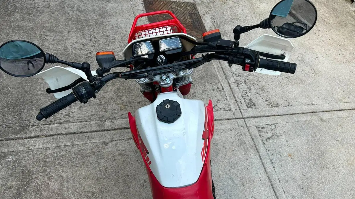 Yamaha   (7)