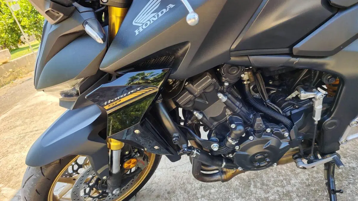 Honda CB 1000 Hornet SP (2025 - 26)  (5)