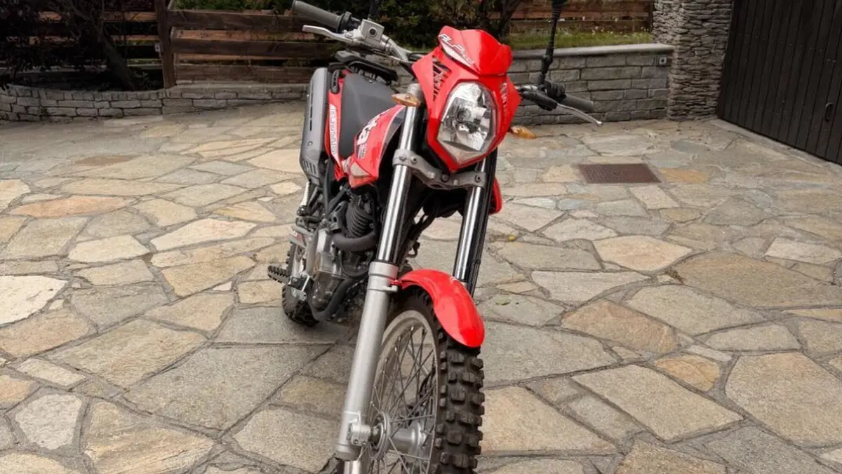 Betamotor Alp 4.0 (2008 - 17)  (2)