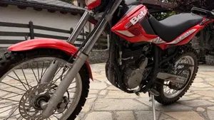 Betamotor Alp 4.0 (2008 - 17)  (3)