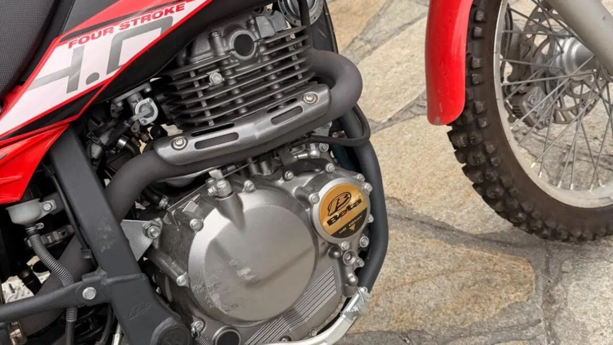 Betamotor Alp 4.0 (2008 - 17)  (4)