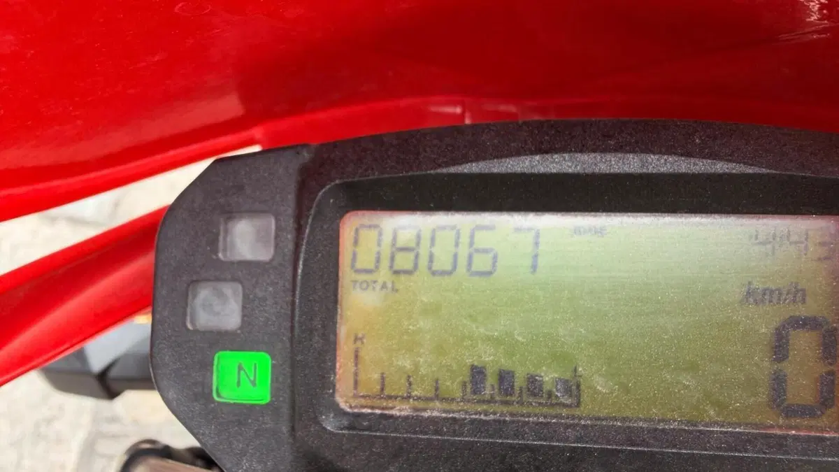 Betamotor Alp 4.0 (2008 - 17)  (5)