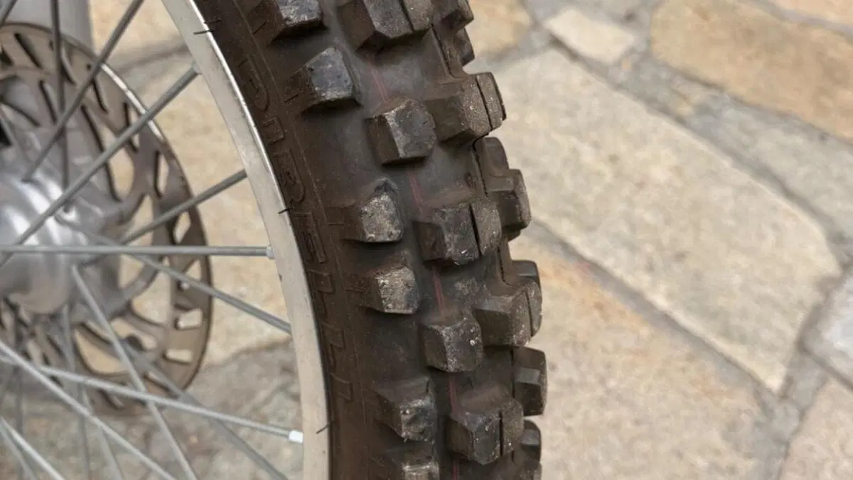 Betamotor Alp 4.0 (2008 - 17)  (7)