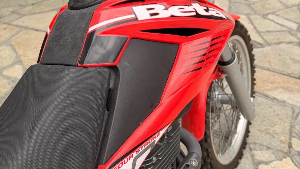 Betamotor Alp 4.0 (2008 - 17)  (8)