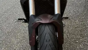 Benelli 502 C (2021 - 25)  (6)
