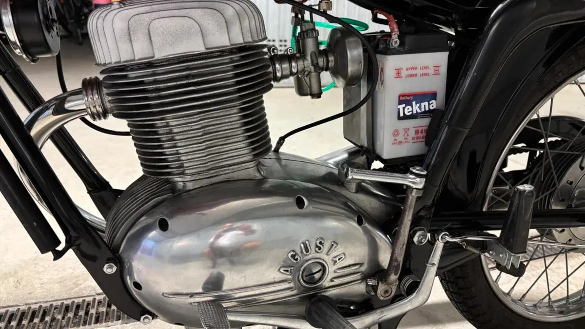 MV Agusta   (9)